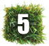 Step 5